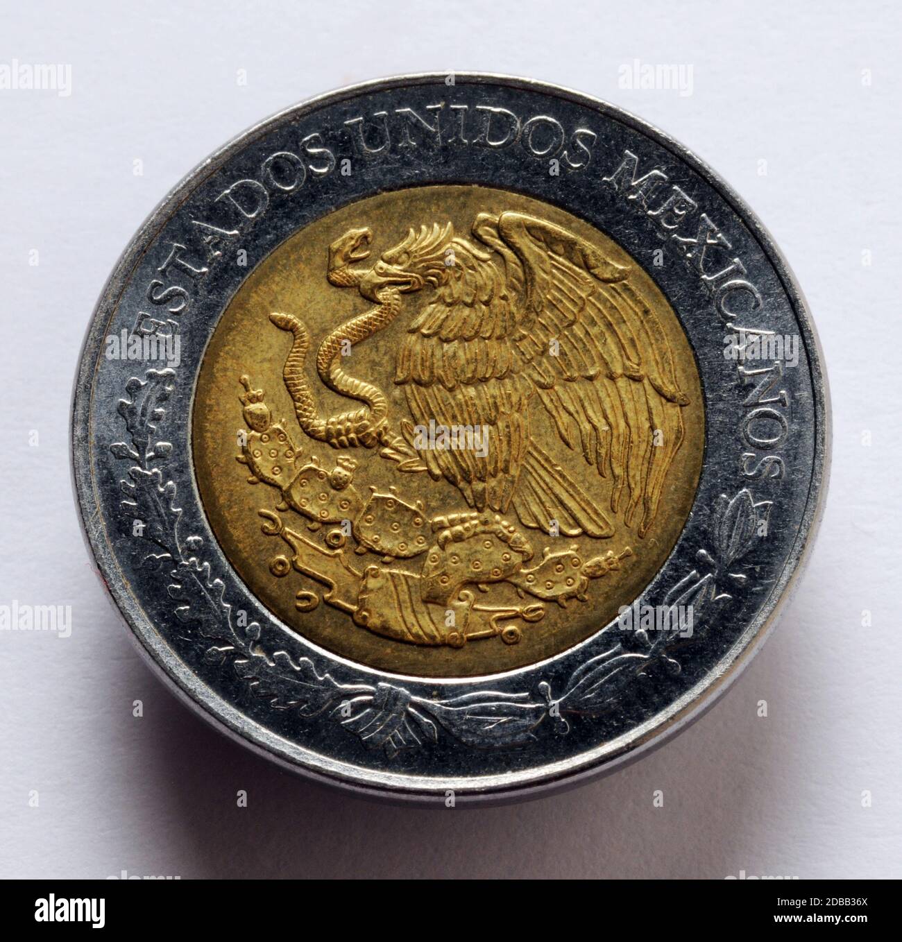 Peso messicano su sfondo bianco Foto Stock