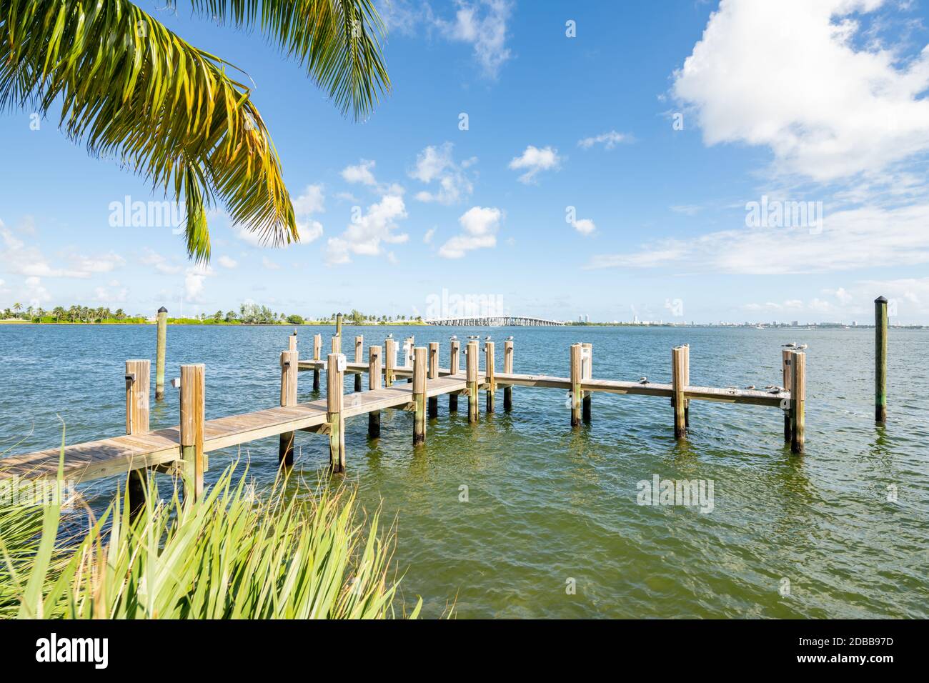 Molo vuoto a Miami Biscayne Bay con palme bella scena colorata Foto Stock