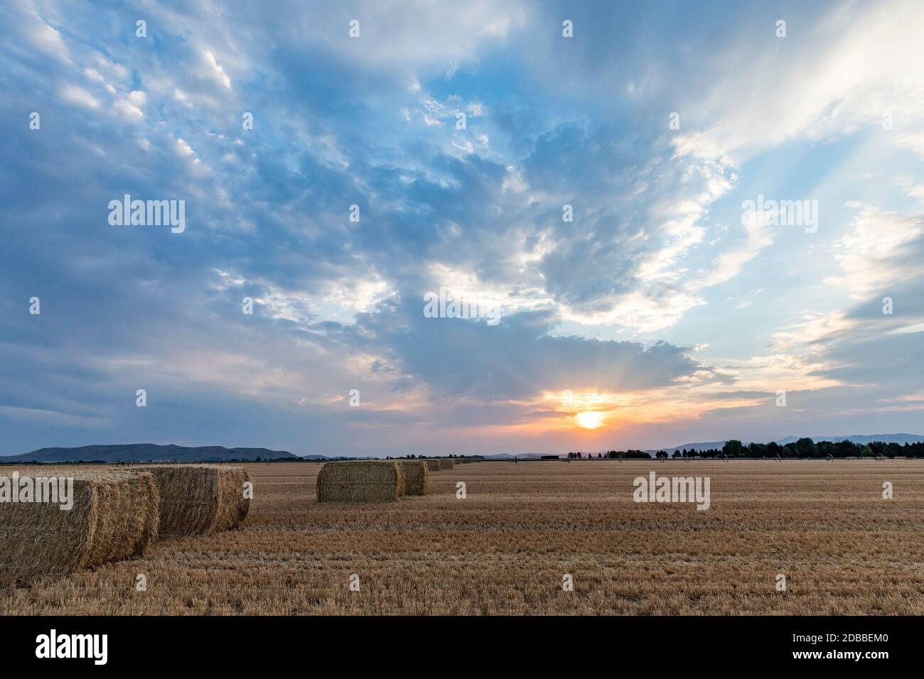 USA, Idaho, Bellevue, balle di fieno in campo al tramonto Foto Stock