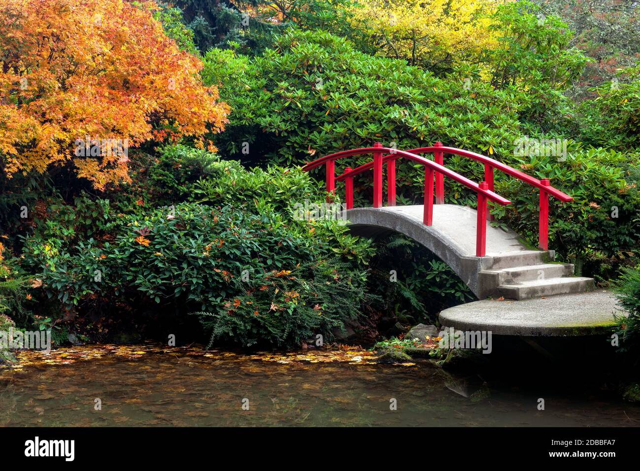 WA17917-00..... WASHINGTON - Moon Bridge e colori autunnali in Kubota Garden, Seattle. Foto Stock