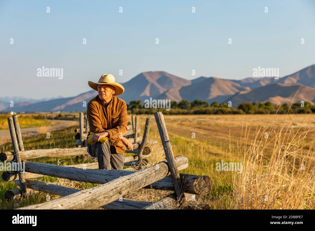 USA, Idaho, Bellevue, Rancher che si appoggia contro la recinzione sul campo Foto Stock