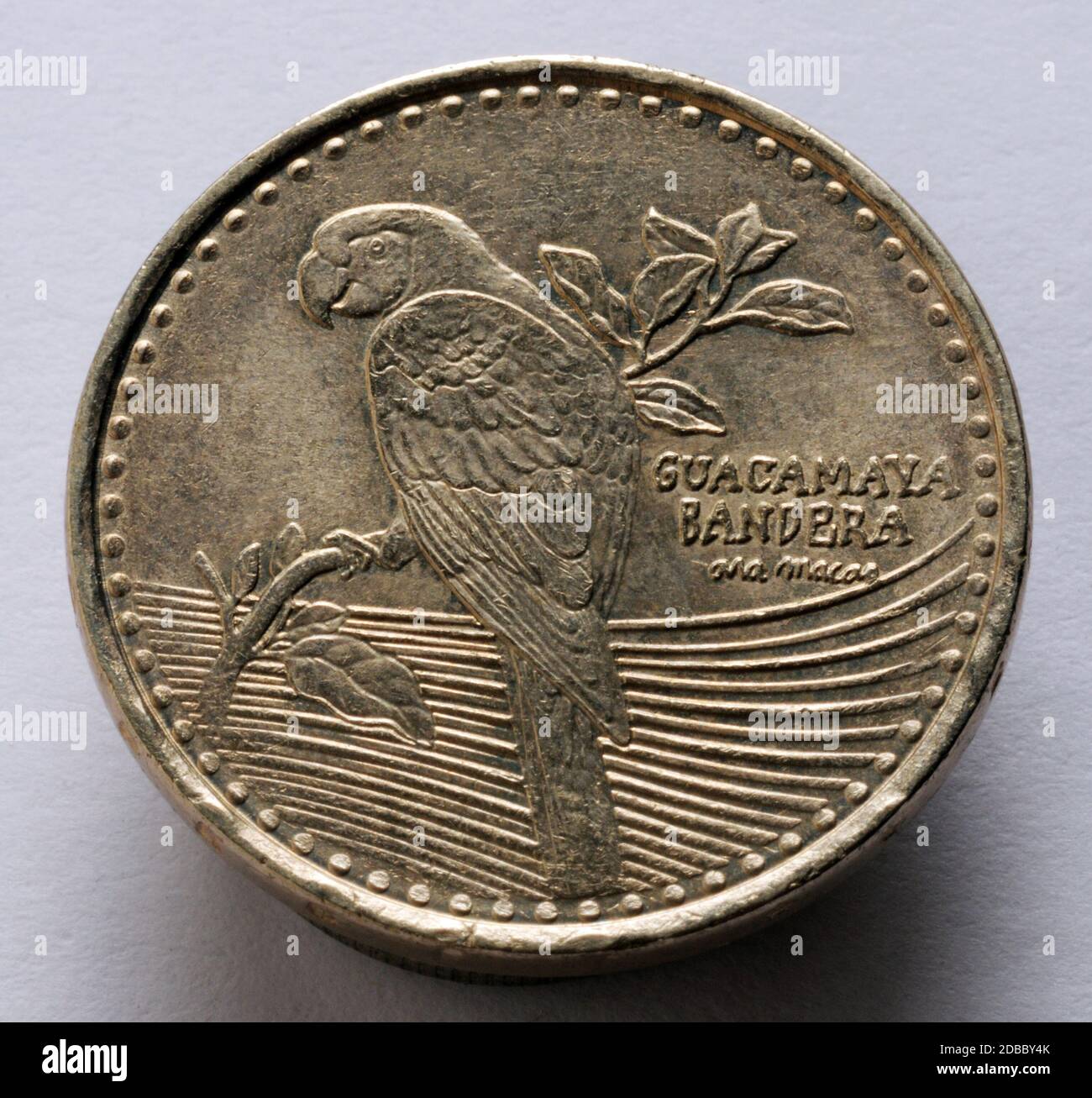 Primo piano su moneta colombiana con pappagallo Foto Stock