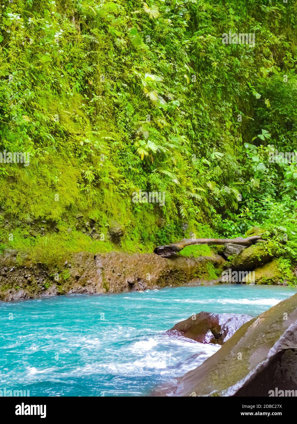 Cascata la Fortuna de San Carlos, parco nazionale del vulcano Arenal, Alajuela, San Carlos, Costa Rica Foto Stock