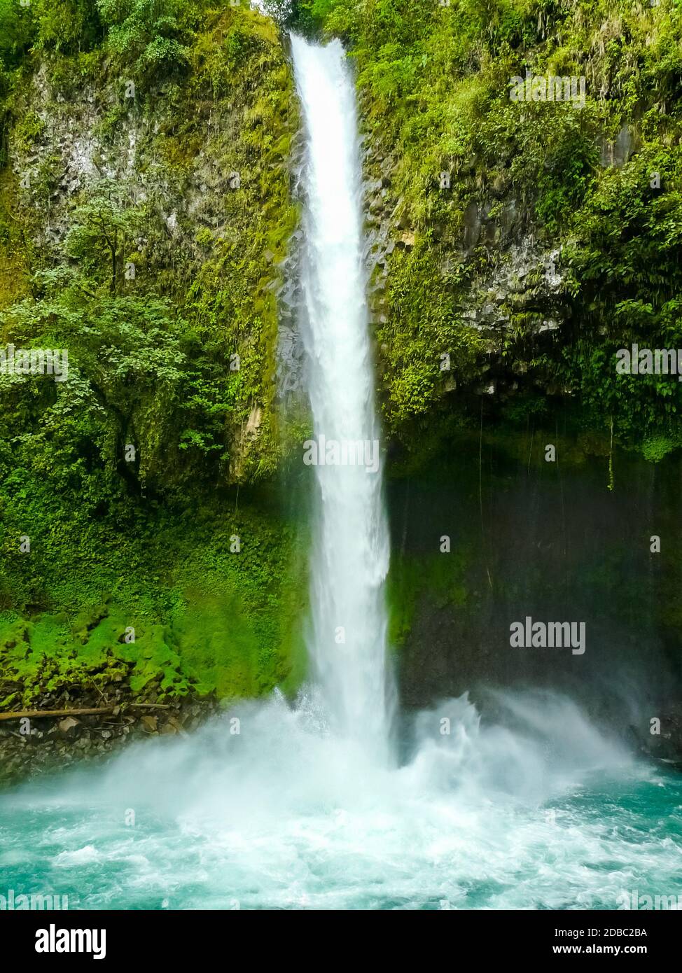 Cascata la Fortuna de San Carlos, parco nazionale del vulcano Arenal, Alajuela, San Carlos, Costa Rica Foto Stock