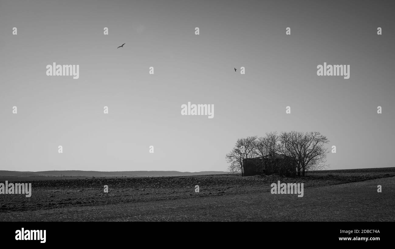 Immagine minimalista in bianco e nero di una casa isolata in una pianura con aquilone rosso e un corvo che sorvola esso Foto Stock