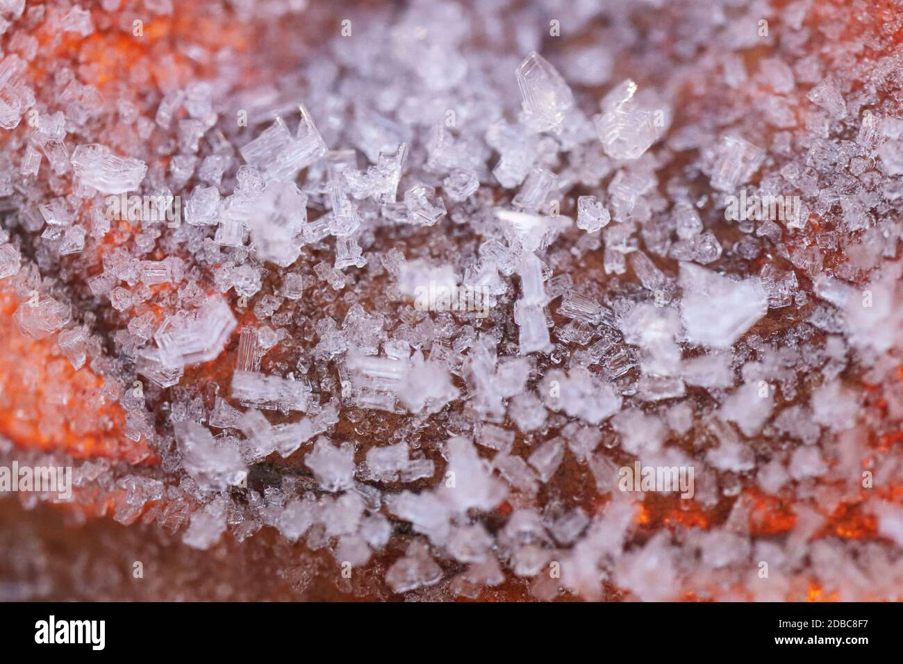 Grana superficie laminata a secco smerigliata. Ghiaccio frost su Forest mattina. Naturale motivo floreale sfondo. Chiusura macro. Foto Stock