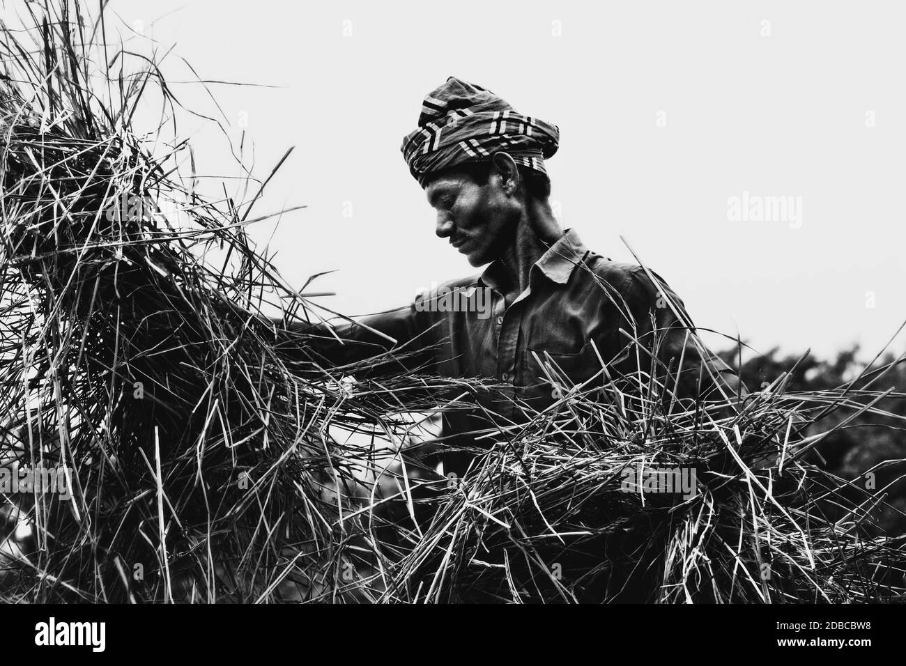 Daily Lifestyle Foto di gente di strada in Bangladesh, contadino in Bangladesh Foto Stock