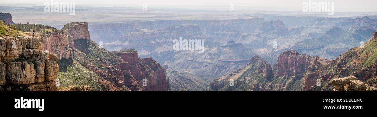 Vista panoramica del Grand Canyon da Saddle Mountain Overlook, Arizona Foto Stock