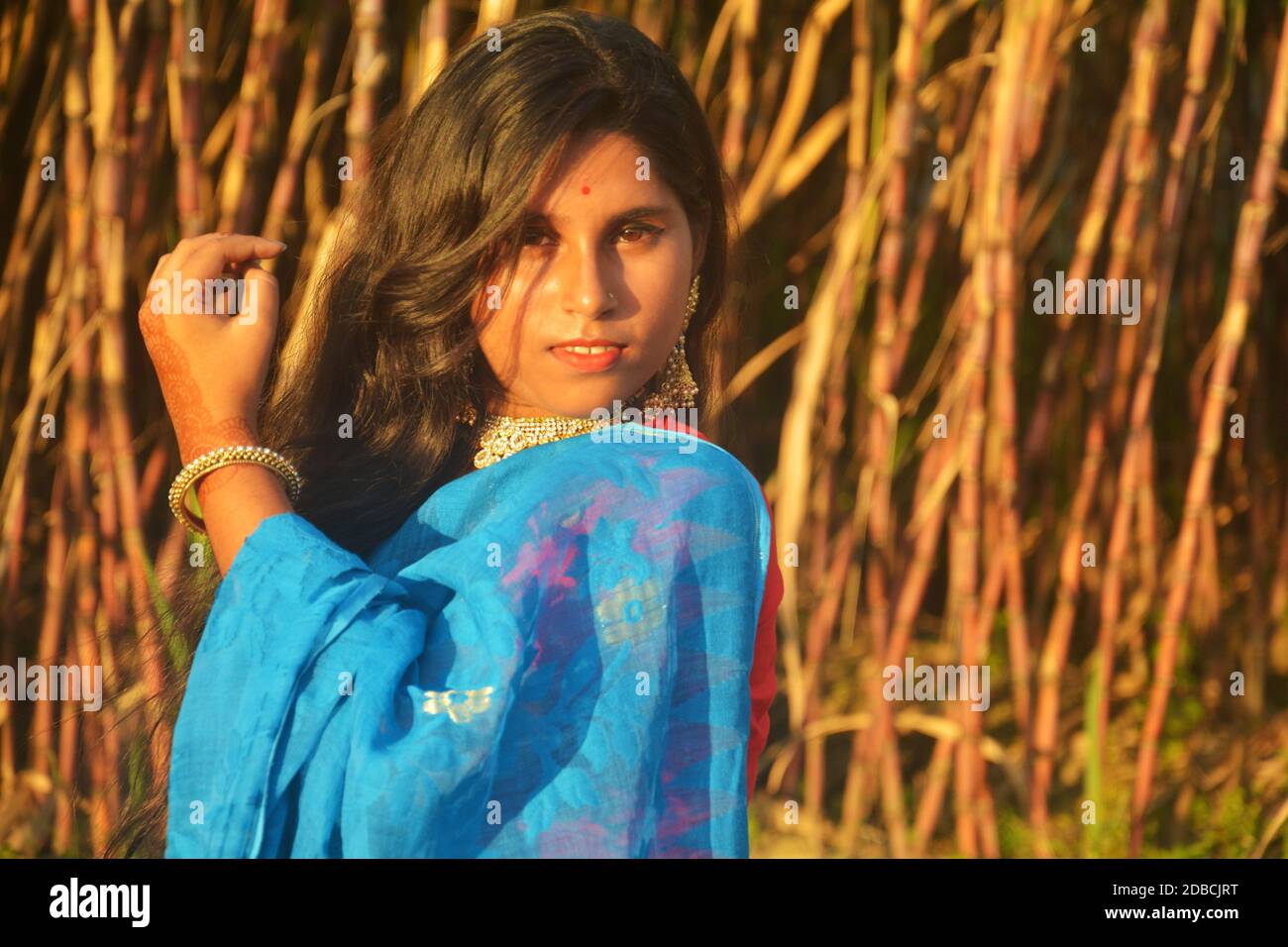 Primo piano di una ragazza adolescente con lunghi capelli scuri e indossare sari blu, blusa rossa e orecchini dorati e collana in piedi in un campo di canna da zucchero Foto Stock