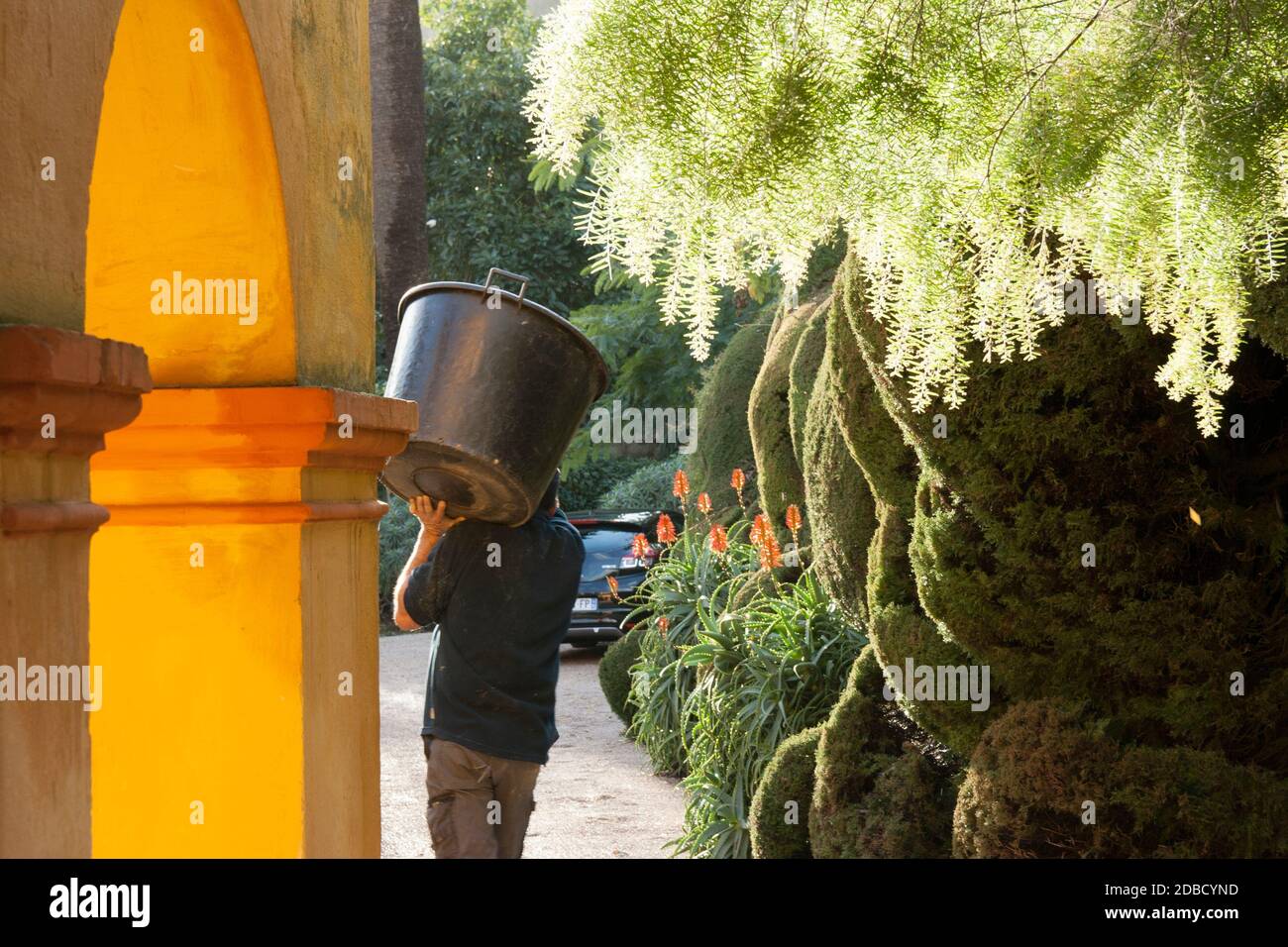 Soleggiato tardo pomeriggio in un palazzo mediterraneo. Pareti color ocra brillante, archi graziosi, siepi verdeggianti. Uomo con barile sulla spalla. Foto Stock