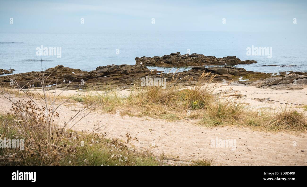 vista su una spiaggia della costa selvaggia dell'isola di yeu con la sua sabbia fine e le sue rocce Foto Stock