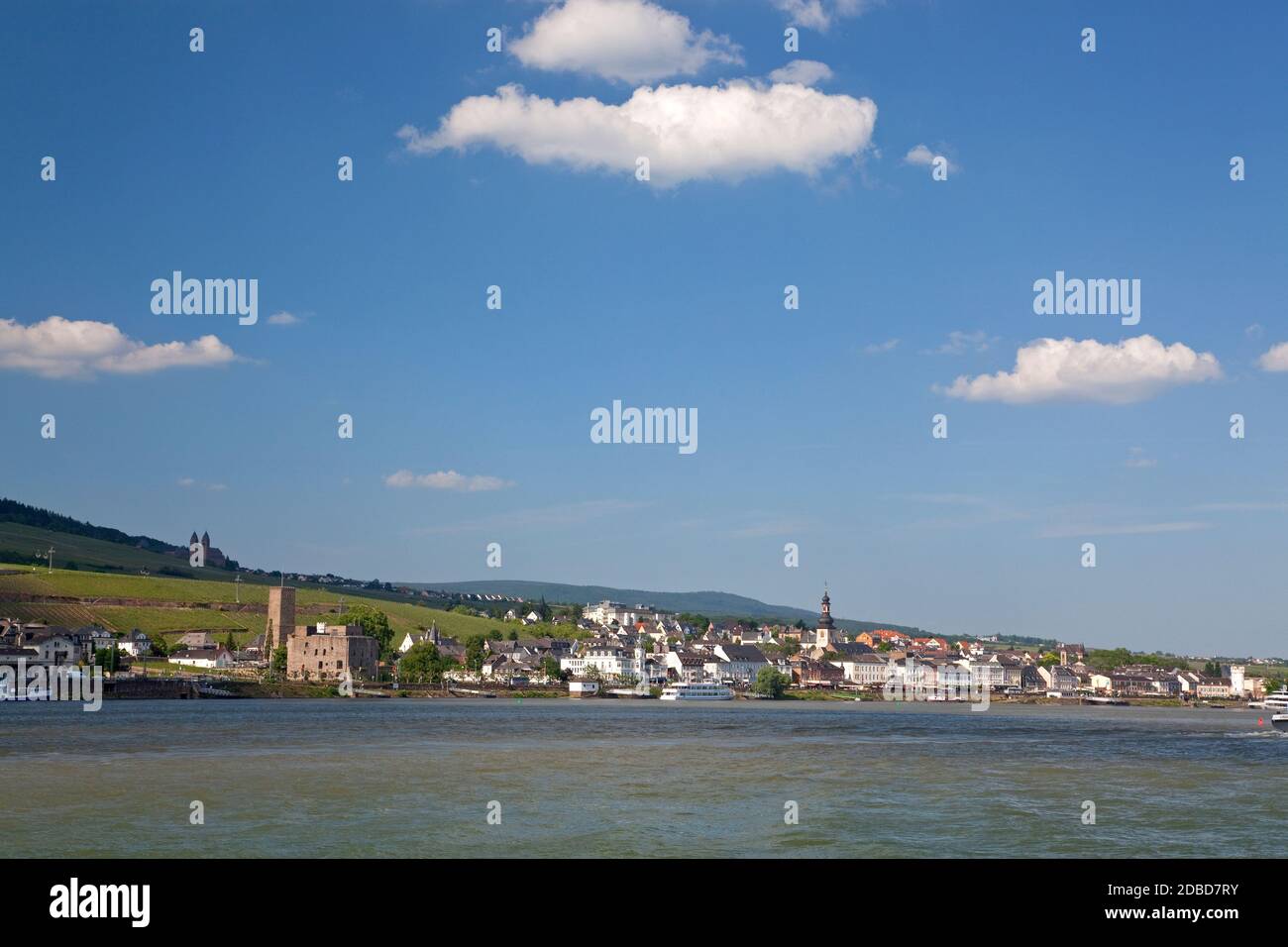 Geografia / viaggio, Germania, Assia, Ruedesheim, vista attraverso il Reno su Ruedesheim, Ruedesheim, diritti aggiuntivi-clearance-Info-non-disponibile Foto Stock