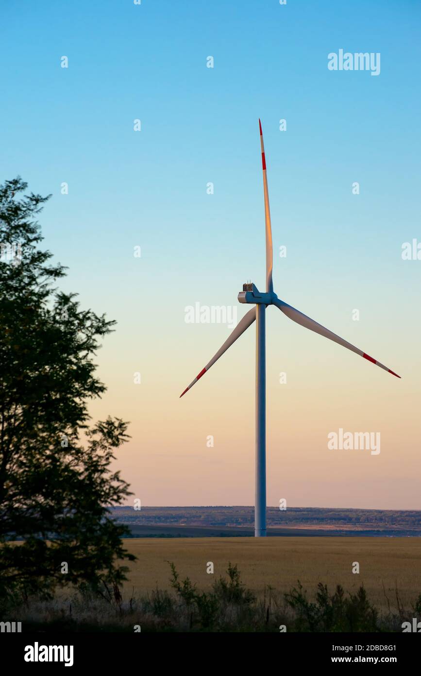 Turbine eoliche fonti di energia rinnovabile paesaggio estivo con blu chiaro cielo al tramonto Foto Stock