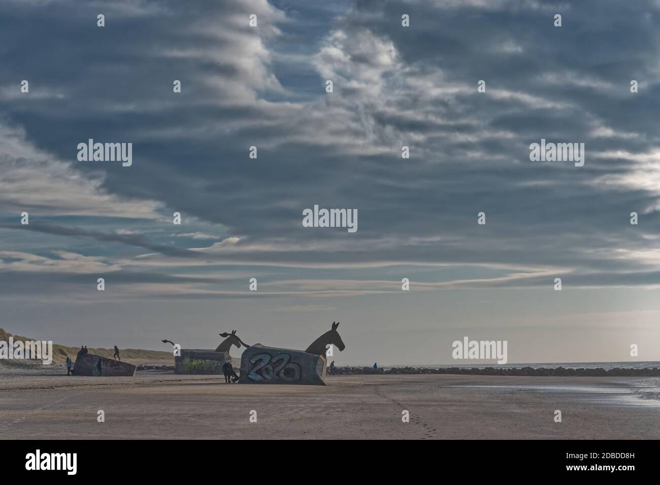 Cavalli bunker di Jules sulla spiaggia di Blaavand, costa del Mare del Nord, Danimarca Foto Stock