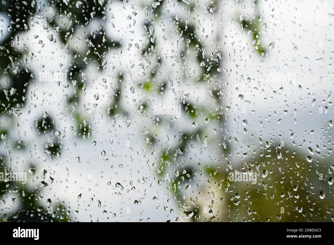 Raindrops nel riquadro della finestra. Sfondo sfocato fuori dalla finestra sotto la pioggia. Foto Stock