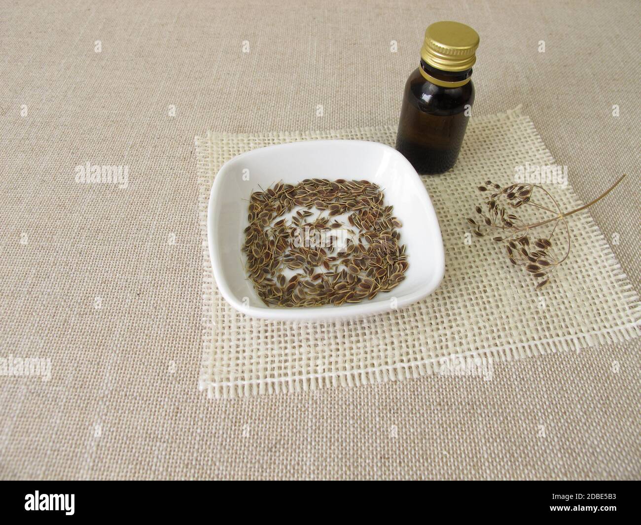 Olio essenziale di aneto in una bottiglia e semi di aneto in una ciotola Foto Stock