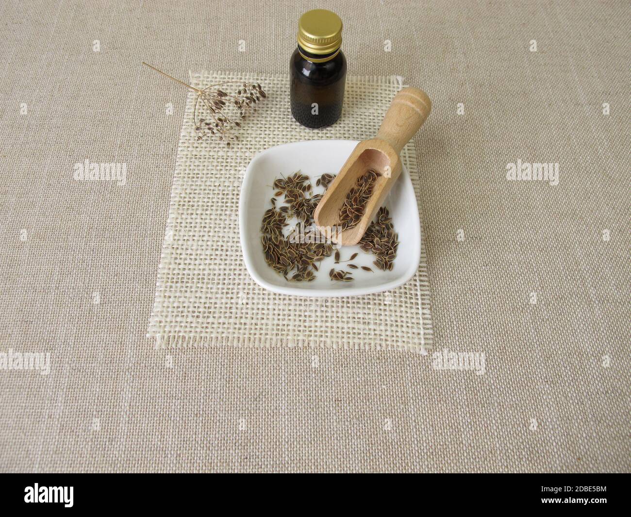 Olio essenziale di aneto in una bottiglia e semi di aneto in una ciotola Foto Stock