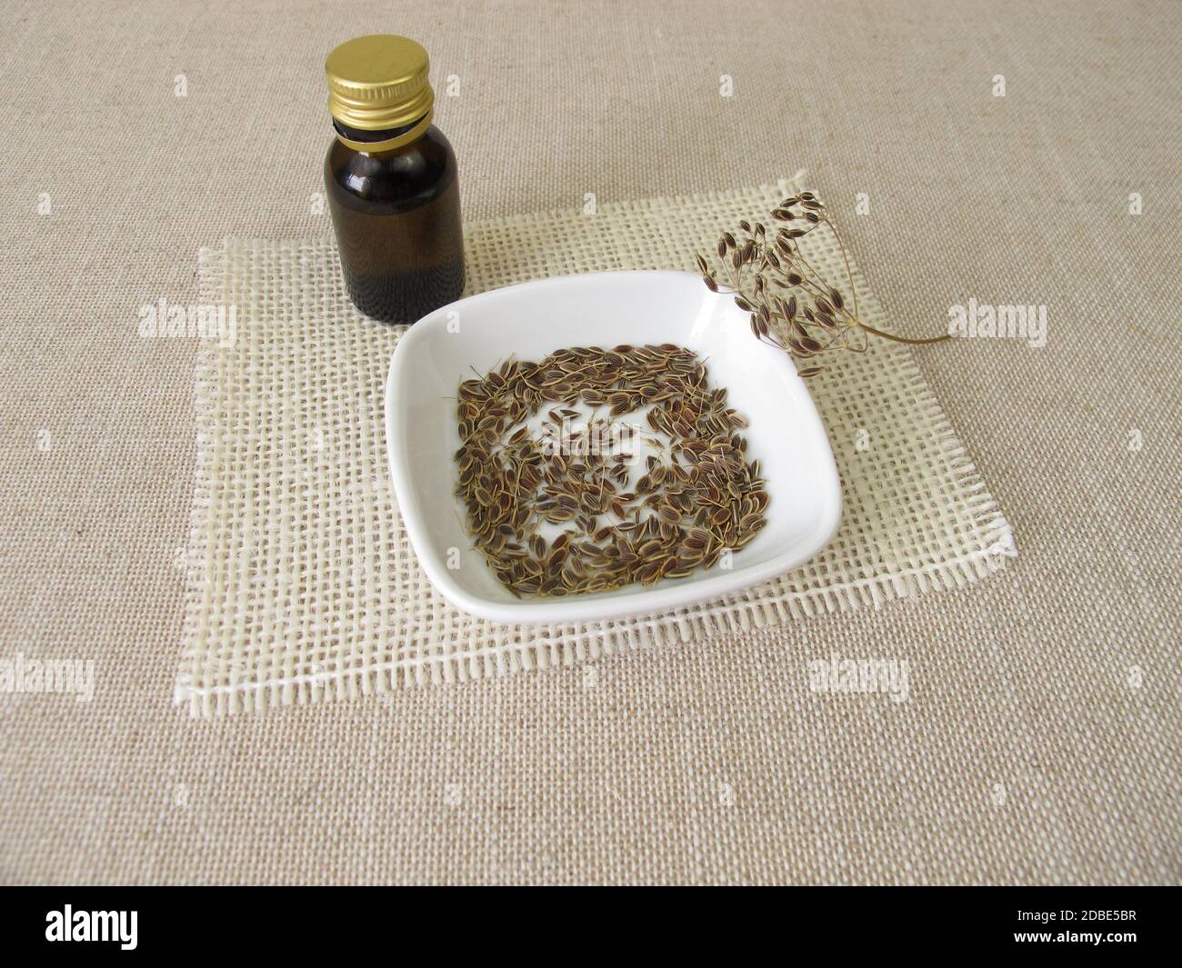 Olio essenziale di aneto in una bottiglia e semi di aneto in una ciotola Foto Stock
