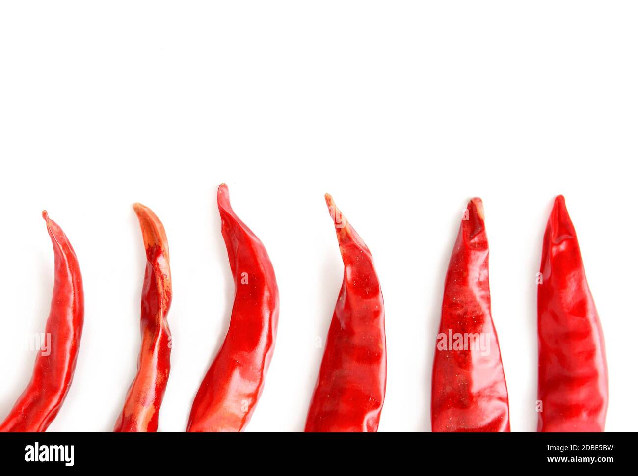 Vista dall'alto di peperoncini rossi caldi secchi disposti in fila. Sembra che un chili fiamme su sfondo bianco con spazio di copia sul lato superiore. Foto Stock