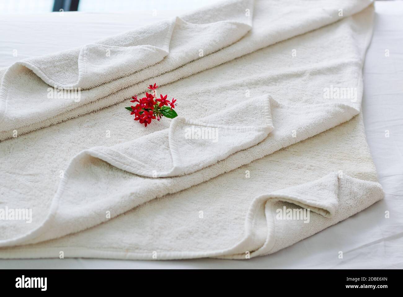 Set di massaggio corpo di lusso con asciugamani piegati, petali di fiori,  pietre di ciottoli e contenitori in rame su un letto di massaggio Foto  stock - Alamy
