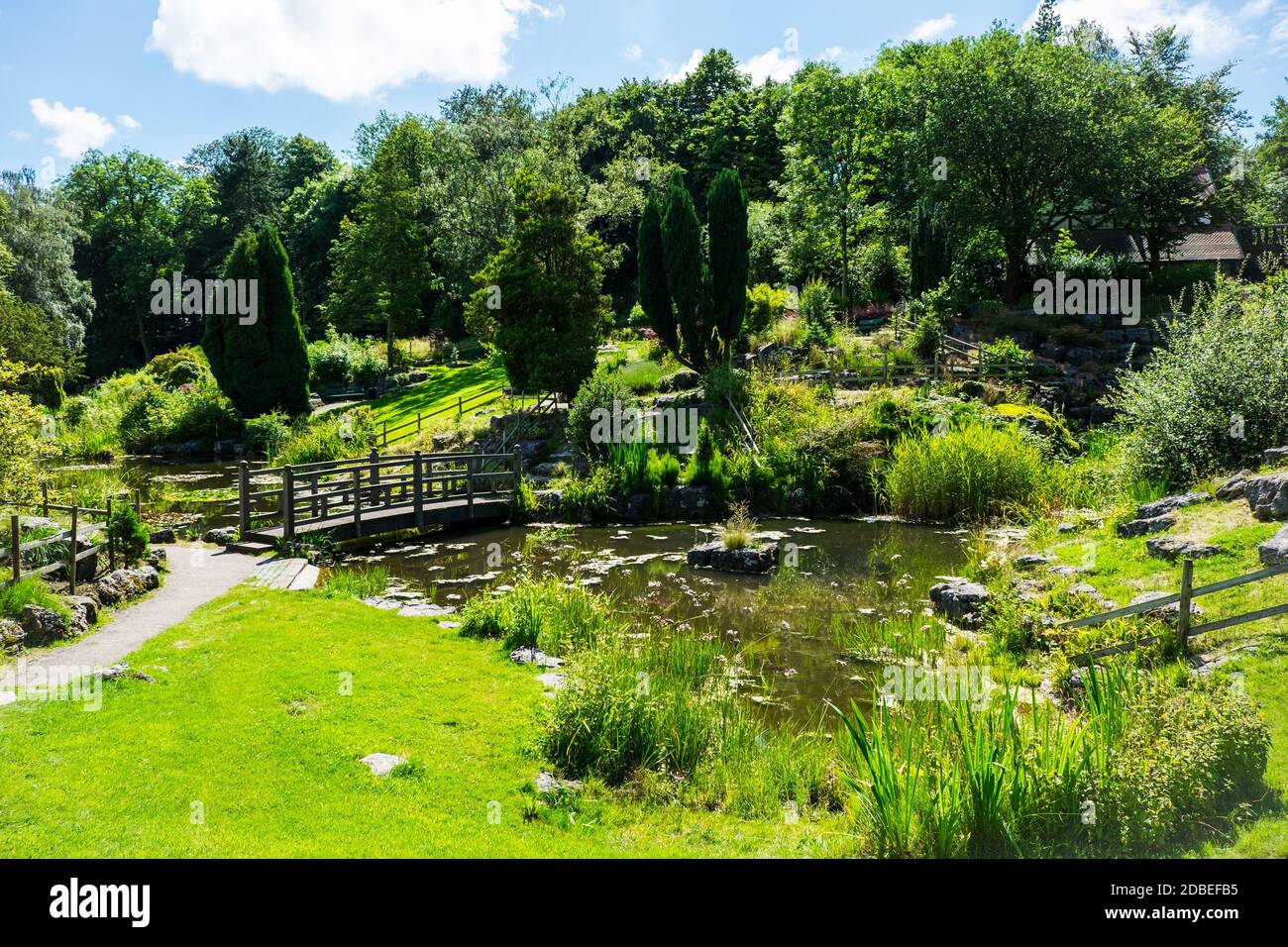 Ammira gli stagni e i prati del Japanese Garden di Avenham e Miller Park, Preston Foto Stock