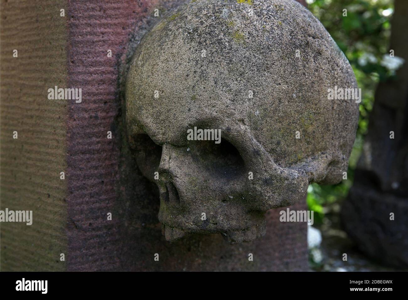 Cranio in pietra Foto Stock