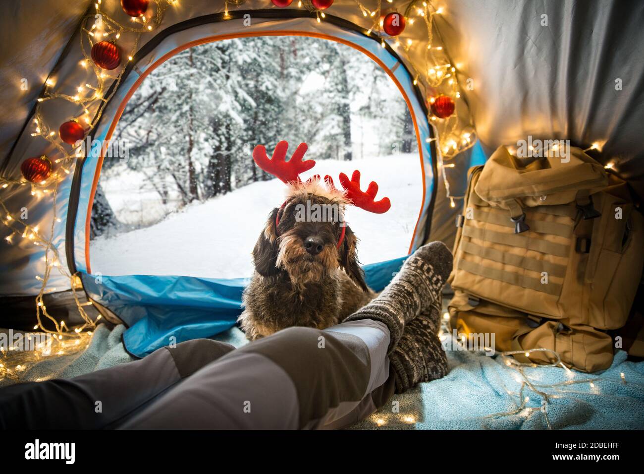 Un uomo sdraiato in una tenda decorata con luci di Natale che indossano calze di legno calde. Bella foresta selvaggia invernale coperta di neve. Autoisolamento Foto Stock
