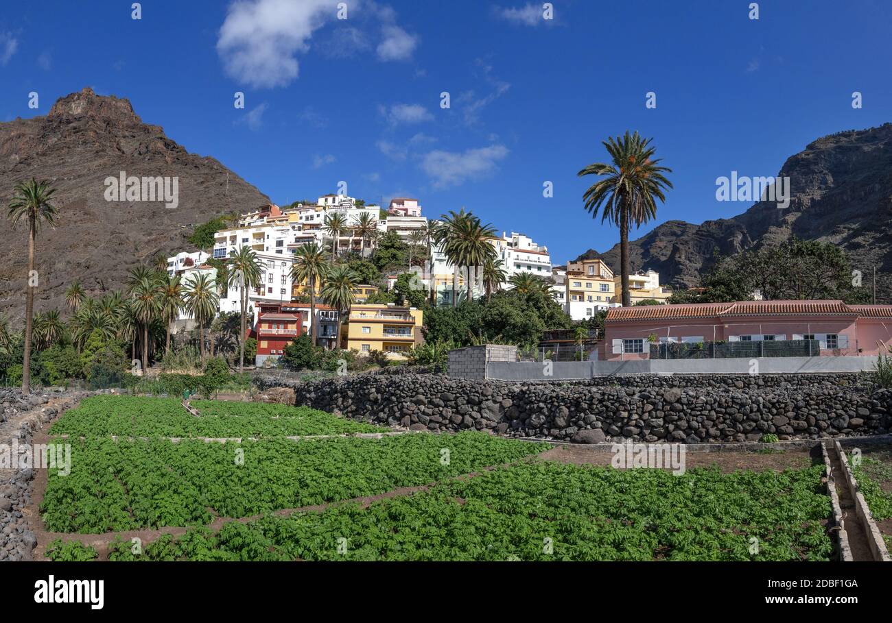 La Calera in Valle Gran Rey sull'isola di la Gomera Foto Stock