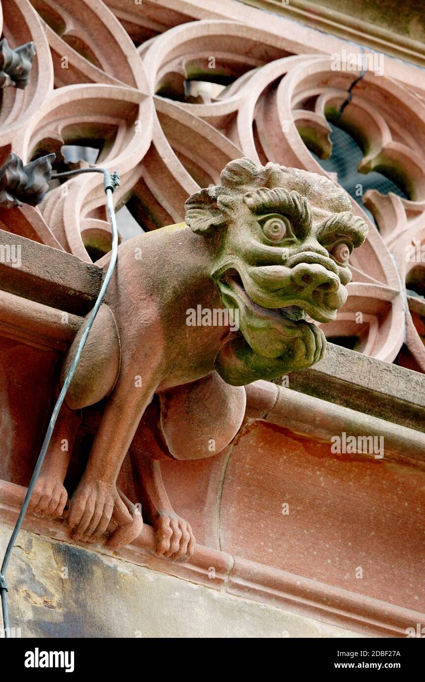 Bella gargoyle nella facciata della Cattedrale di Strasburgo Foto Stock