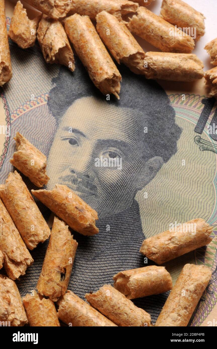 Primo piano su valuta giapponese con pellet di legno Foto Stock