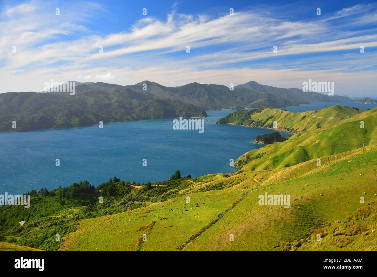 Il Marlborough suona in Nuova Zelanda, Isola del Sud, con montagne, foreste e oceano. Bacino attuale vicino al Passo Francese. Alcune pecore nei prati. Foto Stock