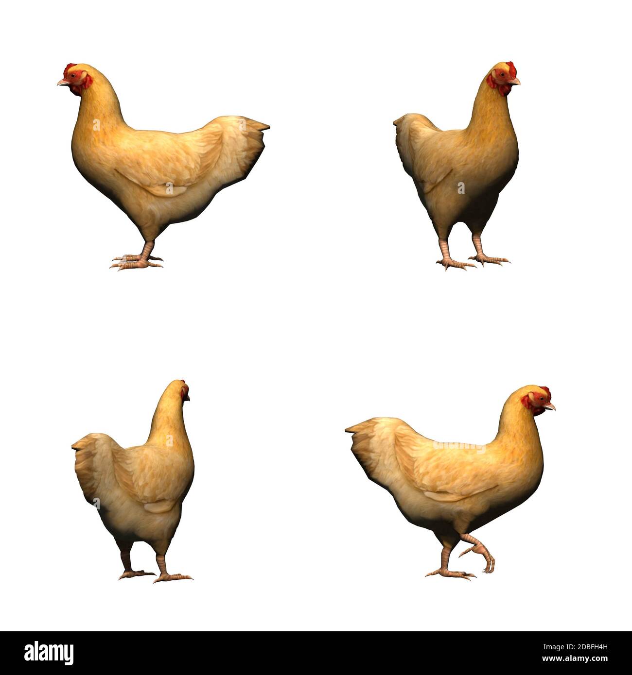 Set di animali da fattoria - pollo marrone - isolato su sfondo bianco Foto Stock