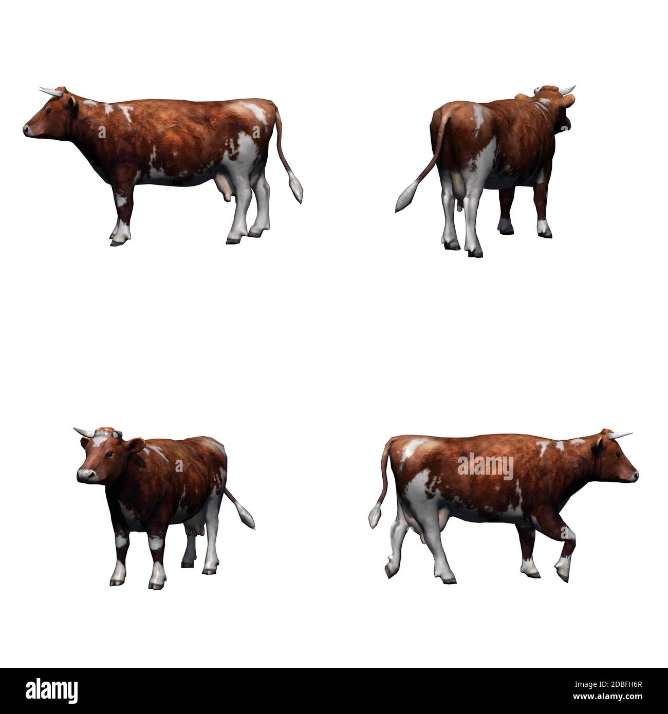 Insieme di animali da fattoria - mucca bianca marrone - isolato su sfondo bianco Foto Stock