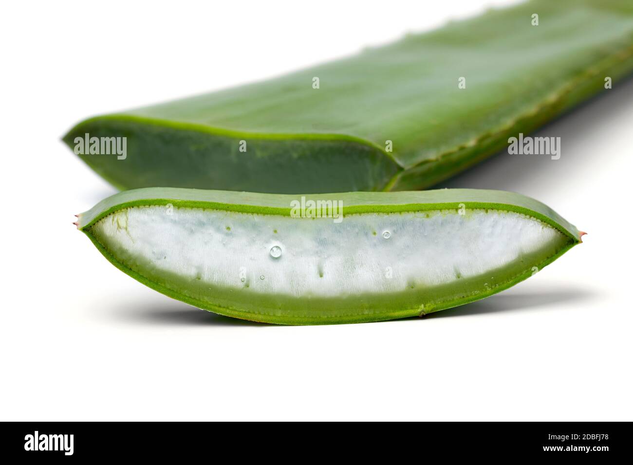 Foglia verde di aloe vera e fetta con gel visibile primo piano su sfondo bianco Foto Stock