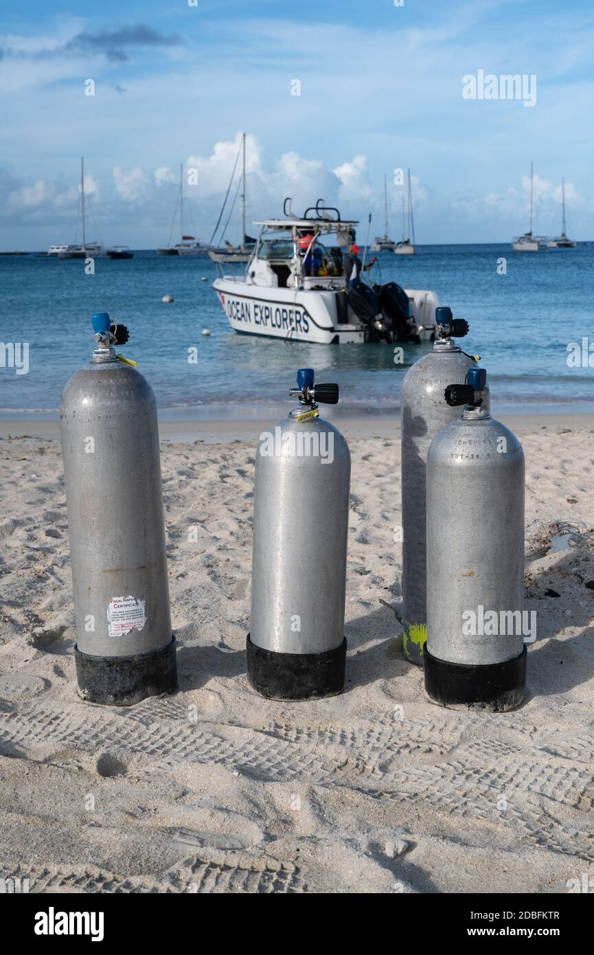 Immersioni subacquee sull'isola caraibica olandese di St Martin Foto Stock