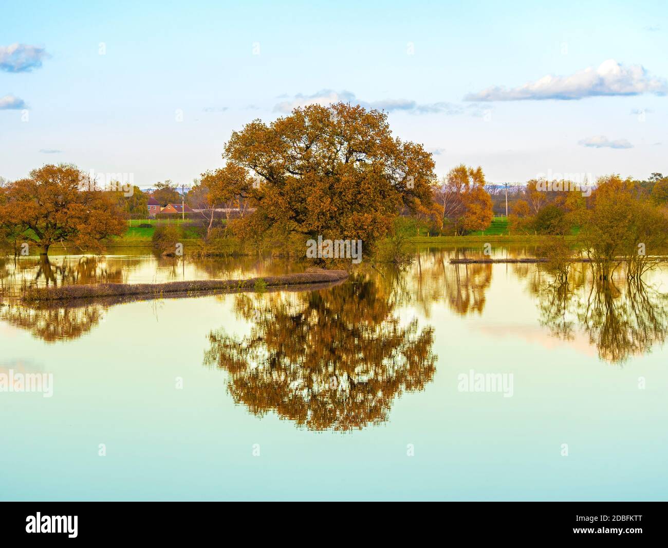 Albero con i loro riflessi in un campo allagato, nel Nord Yorkshire. REGNO UNITO Foto Stock