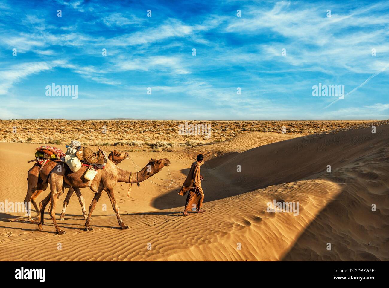 Rajasthan sullo sfondo di viaggio - India cameleer (camel driver) con i cammelli in dune del deserto di Thar. Jaisalmer, Rajasthan, India Foto Stock