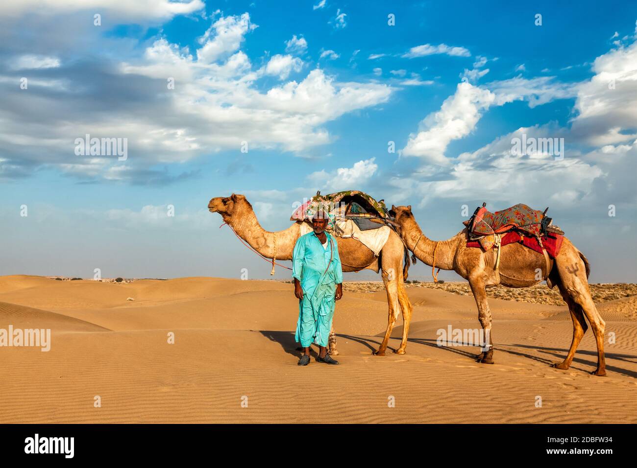 Rajasthan travel background - cameleer indiano (camel driver) con i cammelli in dune del deserto di Thar. Jaisalmer, Rajasthan, India Foto Stock