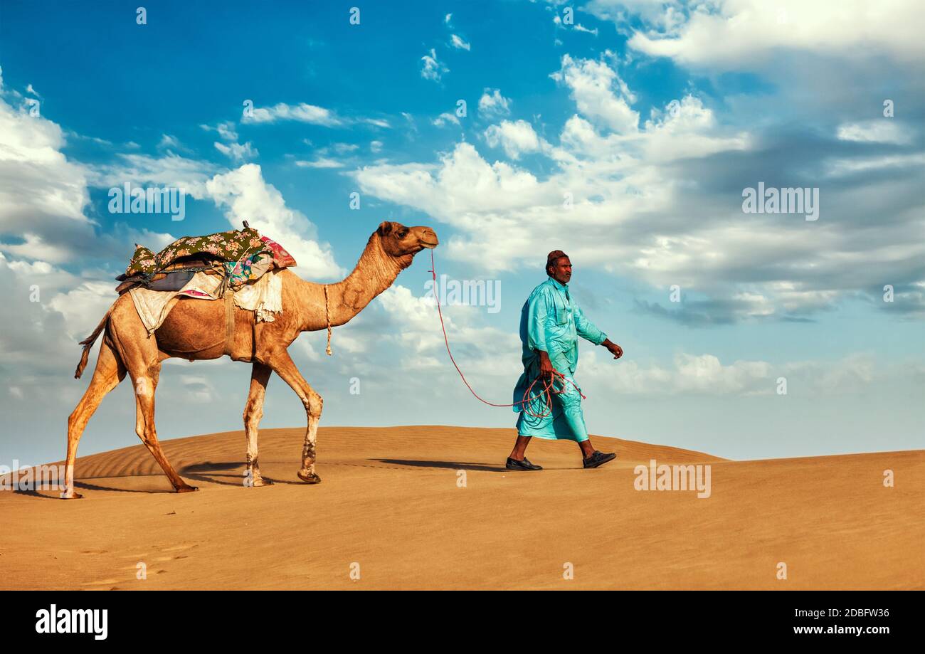 Rajasthan travel background - cameleer indiano (camel driver) con i cammelli in dune del deserto di Thar. Jaisalmer, Rajasthan, India Foto Stock