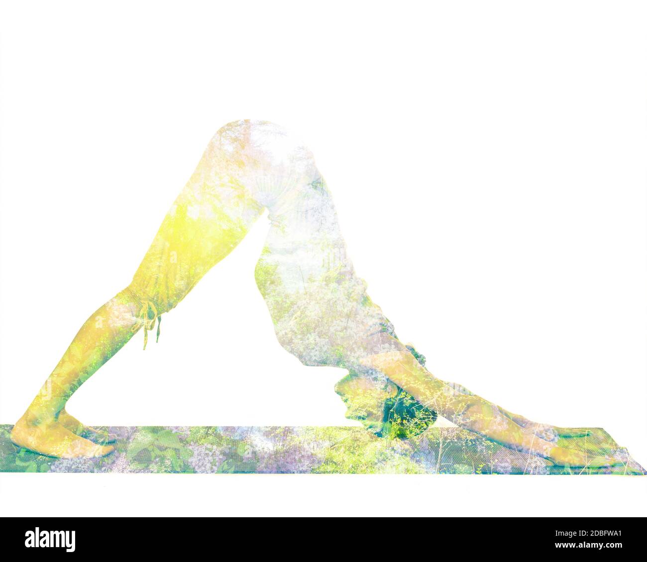 Natura armonia concetto di stile di vita sano - doppia esposizione immagine di donna che fa yoga asana verso il basso cane posa adho mukha iso dell'esercizio svanasana Foto Stock