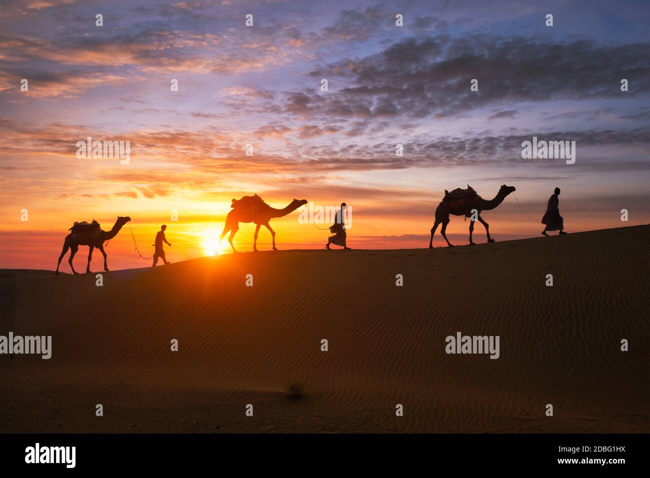 Cammellieri indiani (autista di cammello) beduino con sagome di cammello nelle dune di sabbia del deserto di Thar al tramonto. Caravan in Rajasthan viaggio di background turismo Foto Stock
