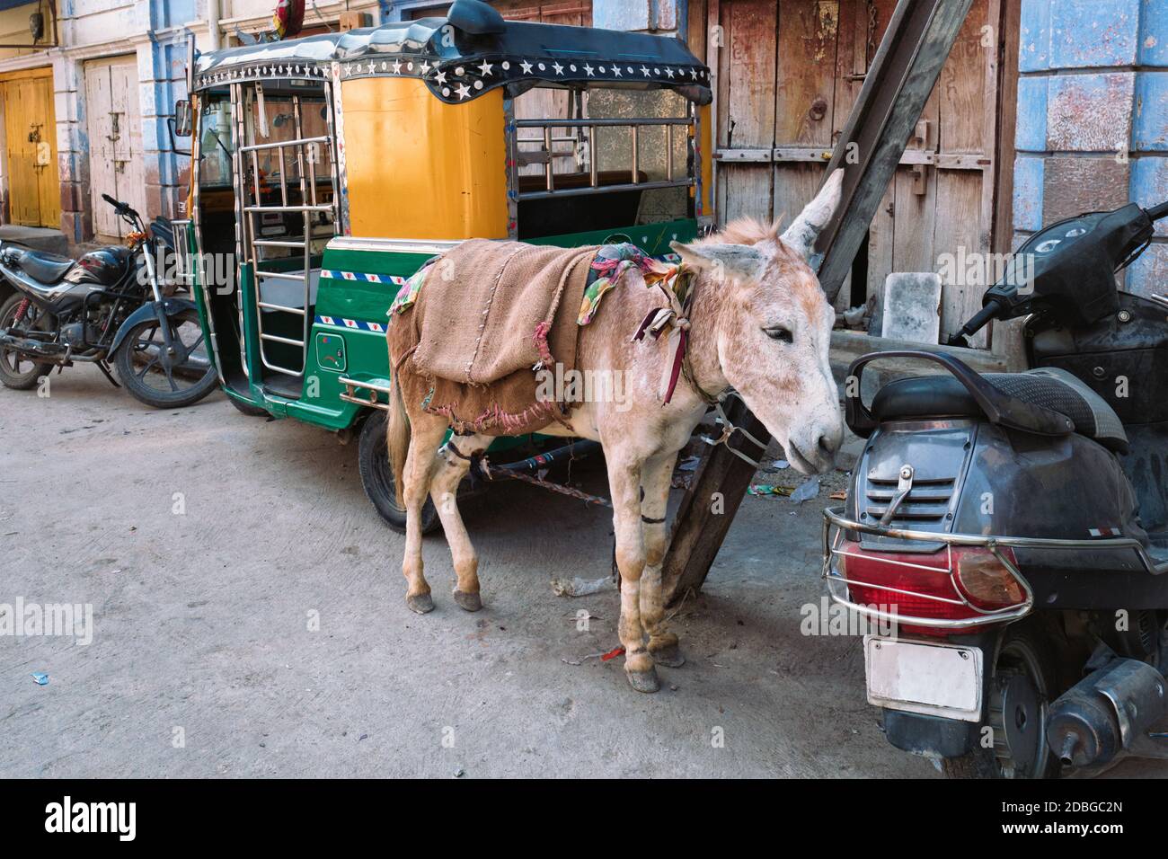 Trasporti dell'India - asino, rickshaw auto e motocicli in via indiana. Jodhpur, Rajastha, India Foto Stock
