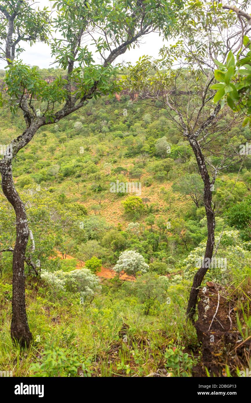 Chapada das Mesas nel Maranhão Brasile. Foto Stock