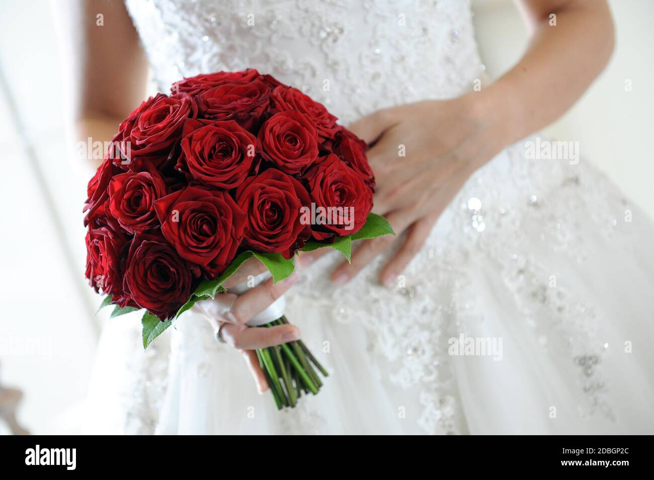 Sposa che tiene in mano un poema di profonde rose rosse che simboleggiano l'eterno amore in primo piano sulla sua mano davanti della sua abito da sposa Foto Stock