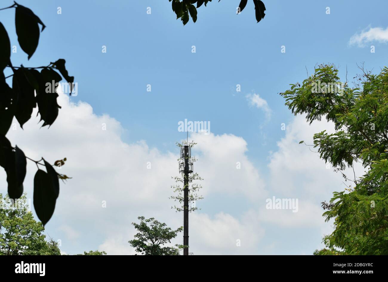 palo per telecomunicazioni con crescita di piante su sfondo nuvoloso e cielo Foto Stock