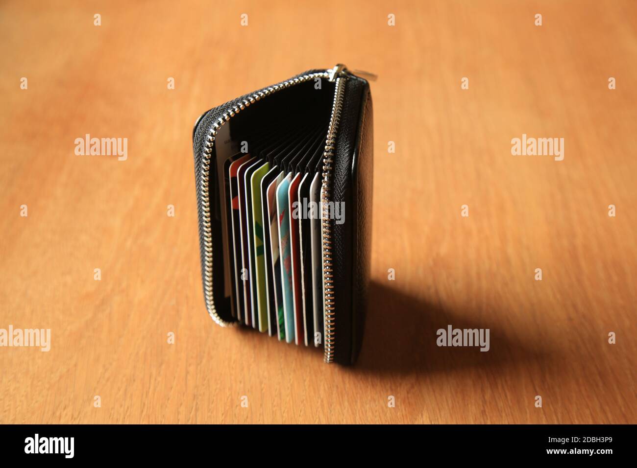 Carte fedeltà in un portafoglio zip up. Foto Stock