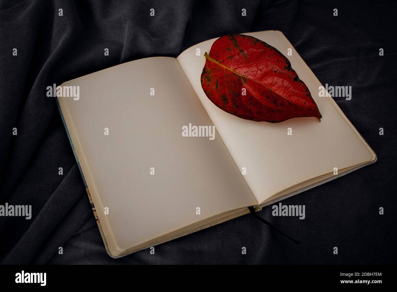 Foglia rossa d'autunno che giace su un notebook pagina vuota su uno sfondo di tessuto scuro rugoso. Modello di vista dall'alto verso il basso per la scrittura con spazio vuoto per il testo in guerra Foto Stock