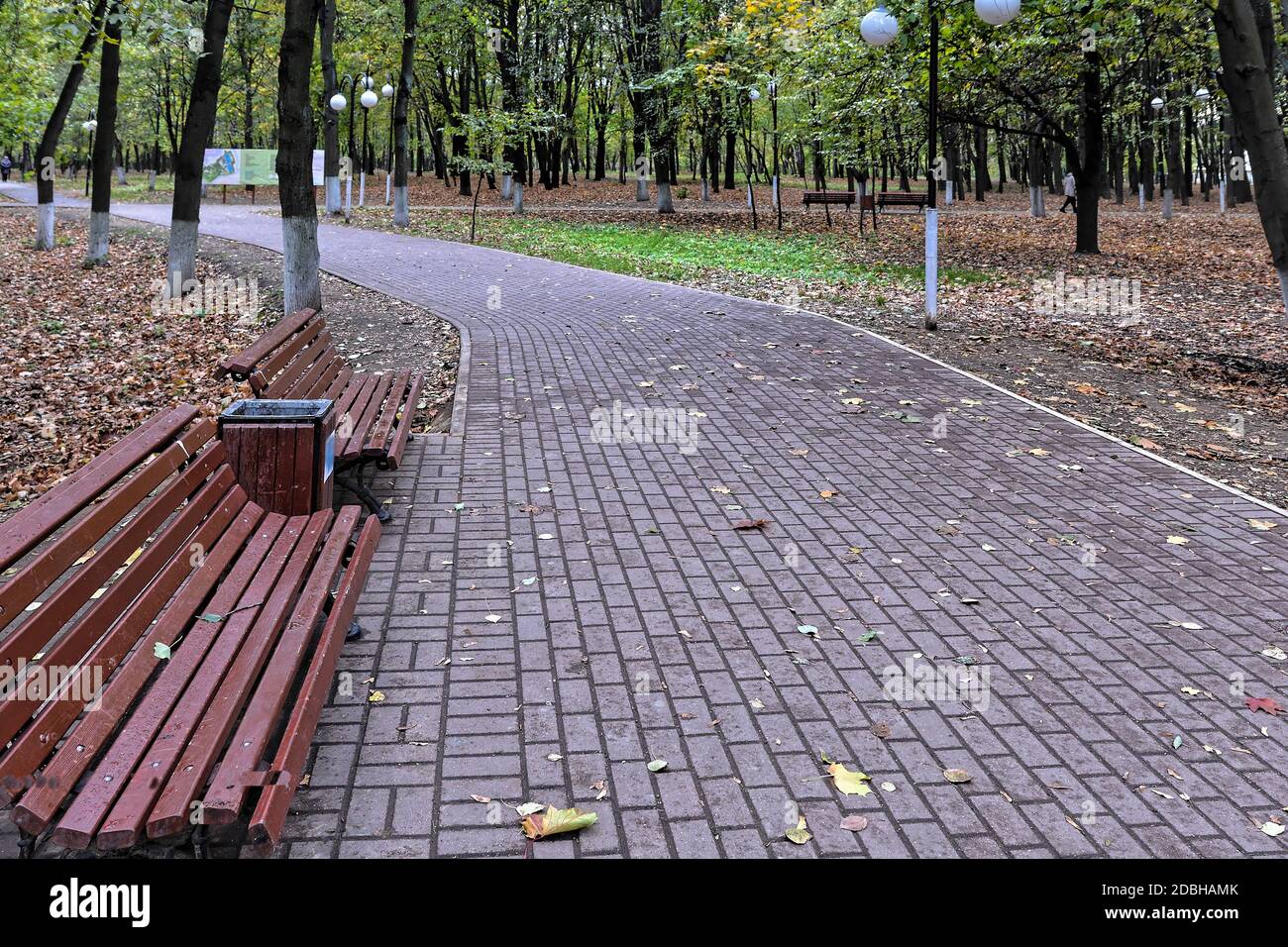 Panca nel parco autunnale. Panca del parco circondata da foglie cadute nel parco cittadino. Foto Stock