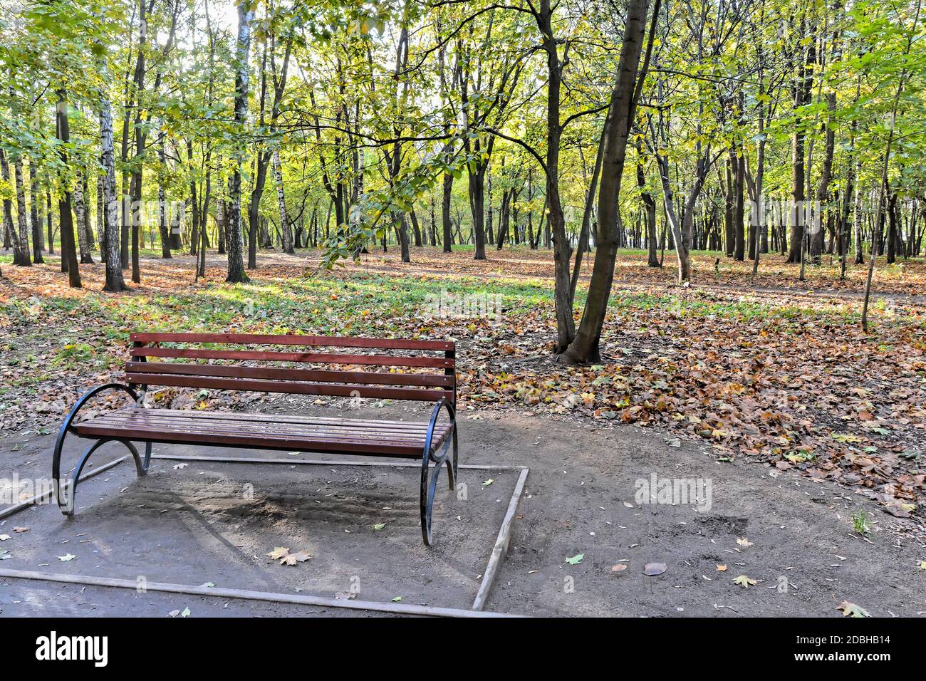 Panca nel parco autunnale. Panca del parco circondata da foglie cadute nel parco cittadino. Foto Stock