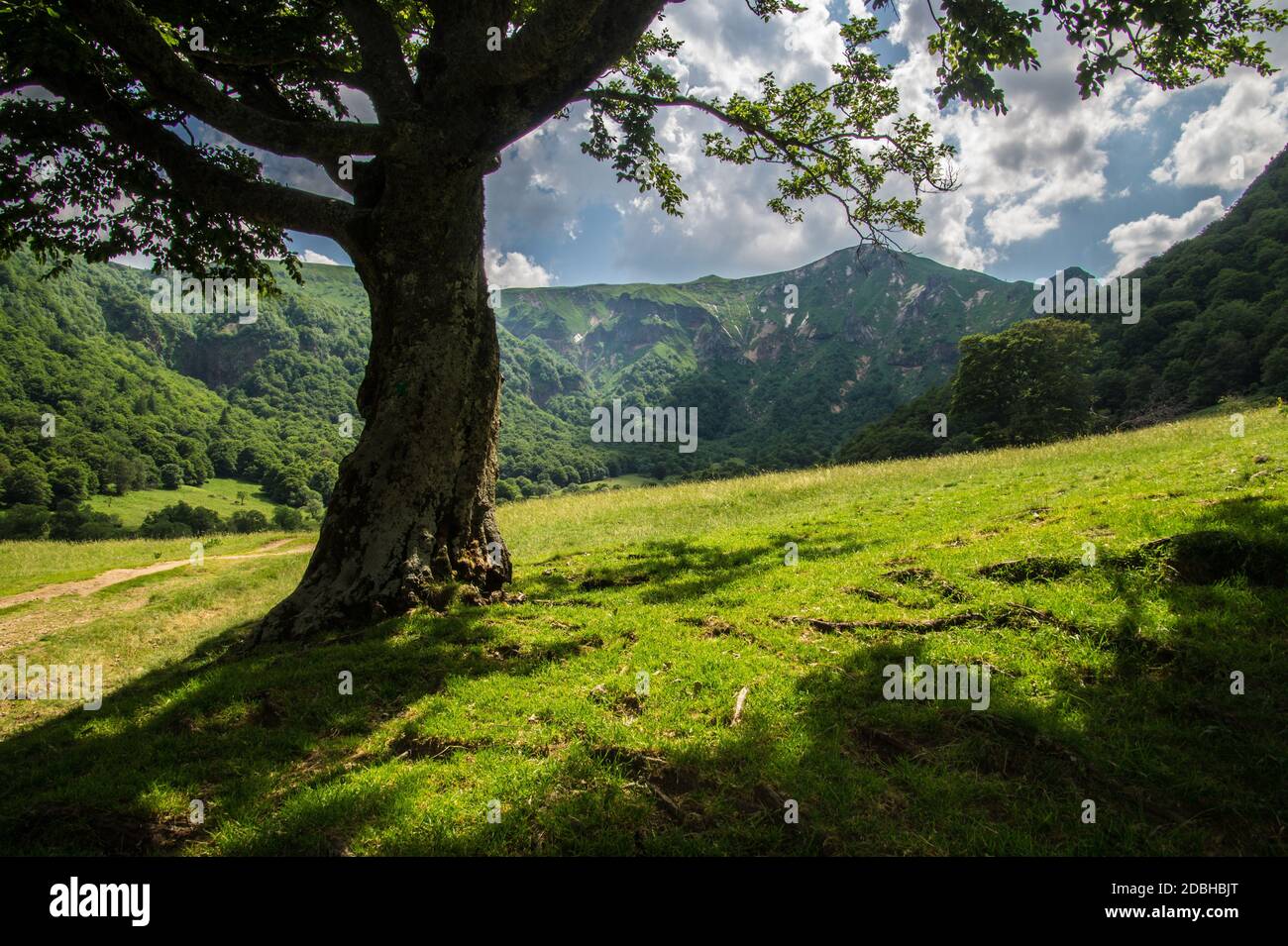 Val di chaudefour in puy de dome in Francia Foto Stock